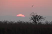 neusiedler see